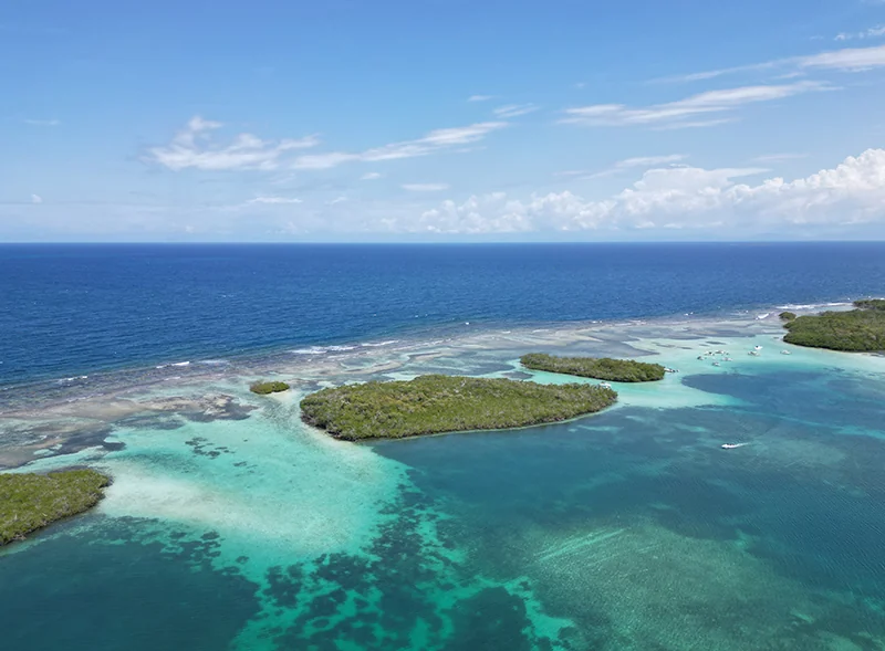 Morrocoy